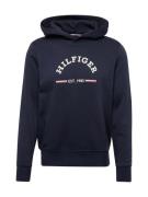 TOMMY HILFIGER Collegepaita  laivastonsininen / punainen / valkoinen