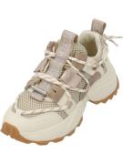 STEVE MADDEN Matalavartiset tennarit 'Tazmania'  beige / tummabeige / ...