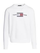 TOMMY HILFIGER Collegepaita  laivastonsininen / verenpunainen / valkoi...