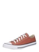 CONVERSE Matalavartiset tennarit 'CHUCK TAYLOR ALL STAR'  konjakki / v...