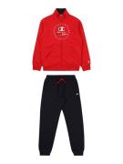 Champion Authentic Athletic Apparel Juoksupuku  punainen / musta / val...