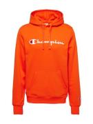 Champion Authentic Athletic Apparel Collegepaita  hummeri / punainen /...