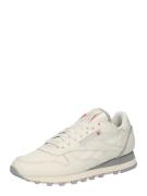 Reebok Matalavartiset tennarit '1983'  harmaa / offwhite