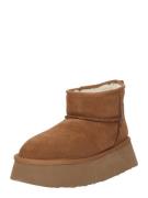 STEVE MADDEN Talvisaappaat 'CAMPFIRE'  ruskea