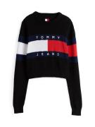 Tommy Jeans Neulepaita  marine / punainen / musta / valkoinen