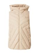 Tommy Hilfiger Curve Liivi  beige