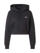 Tommy Jeans Collegepaita 'Script Hoodie'  musta