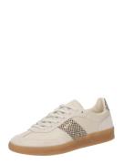 BOSS Matalavartiset tennarit 'Brenta Tenn'  beige / kitti / ruskea