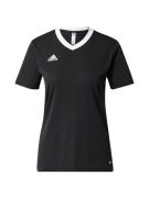 ADIDAS PERFORMANCE Trikoo 'Entrada 22'  musta / valkoinen