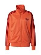 ADIDAS ORIGINALS Collegetakki 'Adicolor Classic Firebird'  oranssi / r...