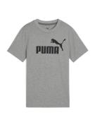 PUMA Paita 'ESS No. 1'  meleerattu harmaa / musta