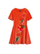 Desigual Mekko  monivärinen / punainen