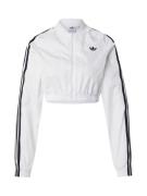 ADIDAS ORIGINALS Välikausitakki 'Adicolor Teamgeist'  musta / valkoine...