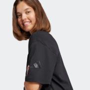 ADIDAS SPORTSWEAR Toiminnallinen paita 'Essentials Contemporary'  must...