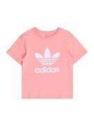 ADIDAS ORIGINALS Paita  pitaija / valkoinen