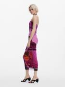 Desigual Mekko  lila / viininpunainen / hummeri