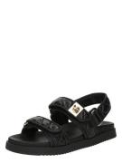 STEVE MADDEN Sandaalit 'Mona-Q'  musta