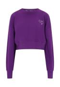 DreiMaster Vintage Collegepaita  tummanvioletti / valkoinen