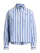 Polo Ralph Lauren Pusero  sininen / valkoinen