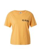 QUIKSILVER Paita  kameli / musta