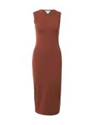 Calvin Klein Jeans Mekko 'SL CTN CNTR 1X1 RB S'  cappuccino