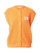 AMERICAN VINTAGE Neuleliivi  vaaleansininen / oranssi / roosa / valkoi...
