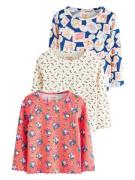 Next Paita 'Cath Kidston'  sininen / kuusi / vaaleanpunainen / valkoin...