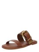 STEVE MADDEN Pistokkaat 'Strider-E'  konjakki