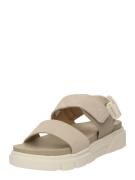 TIMBERLAND Sandaalit 'Greyfield'  kerma / kitti