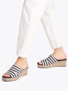 TOMMY HILFIGER Pistokkaat  marine / valkoinen