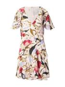 Ted Baker Mekko 'Issiia'  oliivi / magenta / roosa / musta