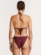 Shiwi Bikini 'Liz'  ruskea / vaaleanoranssi