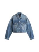 Tommy Jeans Välikausitakki  sininen denim / punainen / musta
