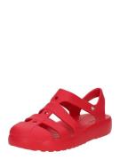Crocs Sandaalit 'Classic'  verenpunainen