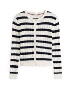 TOMMY HILFIGER Neuletakki  marine / valkoinen