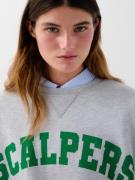 Scalpers Collegepaita ' '  harmaa / meleerattu harmaa