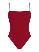 Calvin Klein Swimwear Uimapuku  tummanpunainen