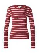 TOPSHOP Paita  roosa / burgundin punainen