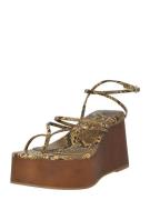 TOPSHOP Varvastossut 'HALLIE'  beige / ruskea / musta