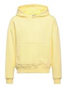 Our Alice Hood Sweat Yellow Grunt