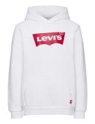 Levi's® Screenprint Batwing Pullover Hoodie White Levi's
