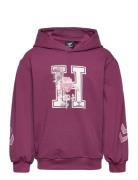 Hmlastrology Hoodie Purple Hummel