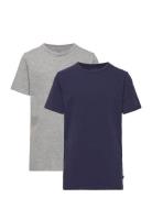 Basic 32 -T-Shirt Ss Grey Minymo