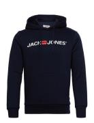 Jjecorp Old Logo Sweat Hood Noos Navy Jack & J S