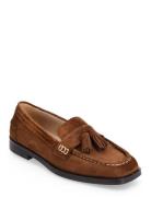 Shoes - Flat Brown ANGULUS