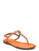 A4095 Orange Billi Bi