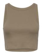 Drewgz Cropped Top Beige Gestuz