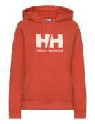 W Hh Logo Hoodie  Helly Hansen