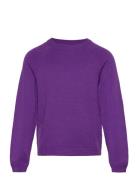 Koglesly Kings L/S Pullover Knt Purple Kids Only