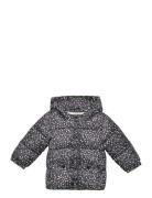 Printed Quilted Coat Black Mango